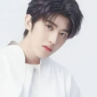 Cai Xukun Adelios¹