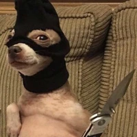 หยุด!!!นี่คือการปล้น