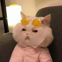หมอเพลีย