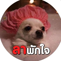 นัทเองค้าบบ