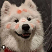 คนแต่งครับ