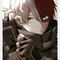 Shoto Todoroki (O.P)
