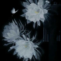 All