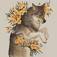 หมาป่าตะวัน🐺