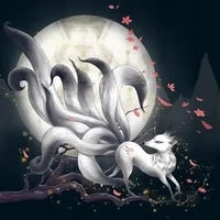 ชีช่า(ของนอ)