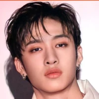 bang chan