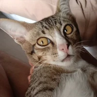 มองหน้าทำไม😾(แอด)