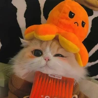 แอด🐱🐈‍⬛🐈😺😸😹😻😼😽🙀😿😾