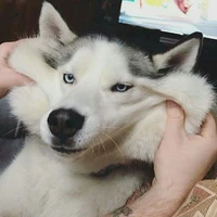 ออสก้า