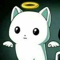 un ángel de gato