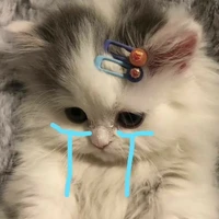 นักเขียน💫
