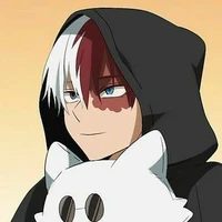 Shoto Todoroki (O.D)