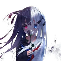 yn