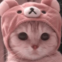อ้วน
