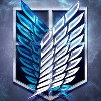 กองกำลังสำรวจ