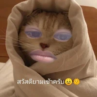 แอดเอง🌹😾