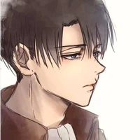 levi