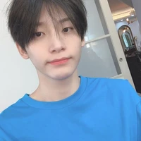 ชิน