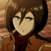mikassa🖤