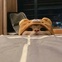 แอดเองจร้าV.1