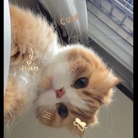 พี่โซ💓(แมวน.อ)