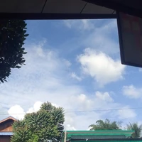 มิ้ว