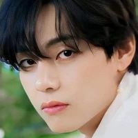 Kim Taehyung Jr