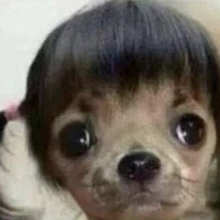 แอดเอง;-;
