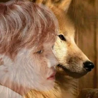 jung hoseok