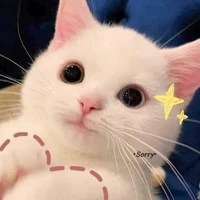 ปะป๊าา