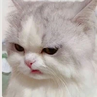 แอด