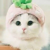 เเอดน้าบ