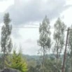 All