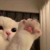 แอด