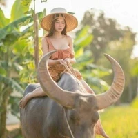 นาว