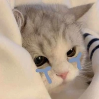 แอดเอง