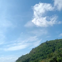 แอดดดด