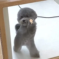 แม่ครัว