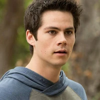 stiles
