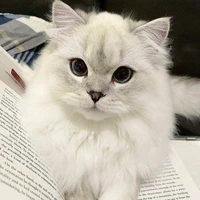 แอดๆ
