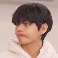 ดาวเหนือ