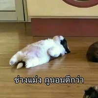 จูน//เพื่อนสนิทแอด+ผู้บรรยาย