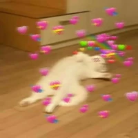 เพ้นท์//เพื่อนสนิทแอด