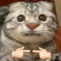 แอดเอง🪄