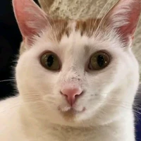 ？？？
