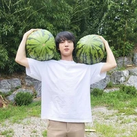 พลอย เฟิร์น