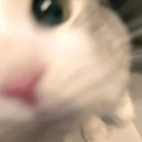 เเอด