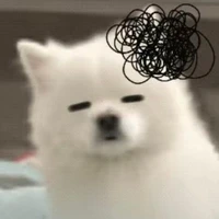 แอดเองหุหุ( ꈍᴗꈍ)