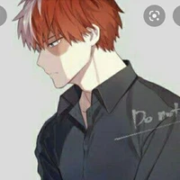 Shoto Todoroki