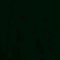 เสียงประกอบ